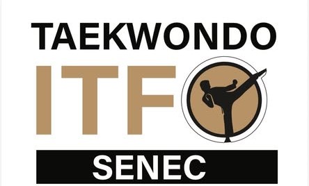 Pro Taekwon