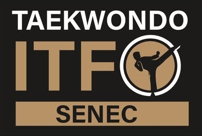 Pro Taekwon logo