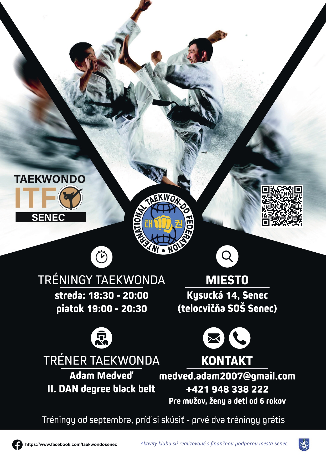 Pro Taekwon plagát